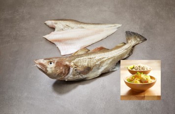 Dorade_heel