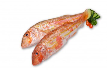 Forel_filet