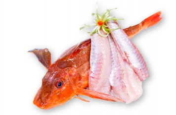 Forel_filet