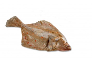 Dorade, filet